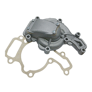 Antecuerpo Bomba Agua Fiat Cronos 1.3 FireFly