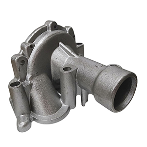 Antecuerpo Bomba Agua Peugeot 307 / 406 / 206 / C4 2.0 6 Ag