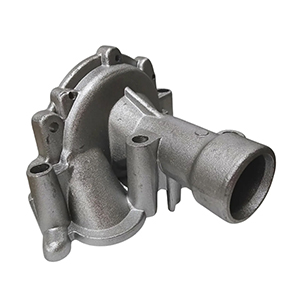 Antecuerpo Bomba Agua Peugeot 307 / 406 / 206 / C4 2.0 4 Ag